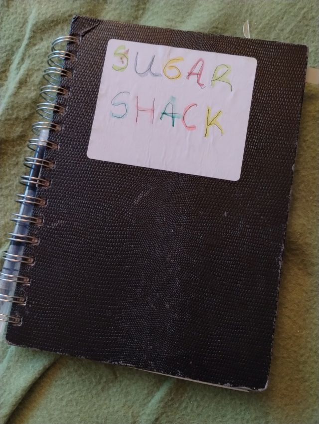 Notebook I keep diabetes info in