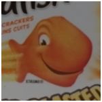 goldfish - 2025 07 12